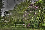 tannenfeld-sommer 2012-080